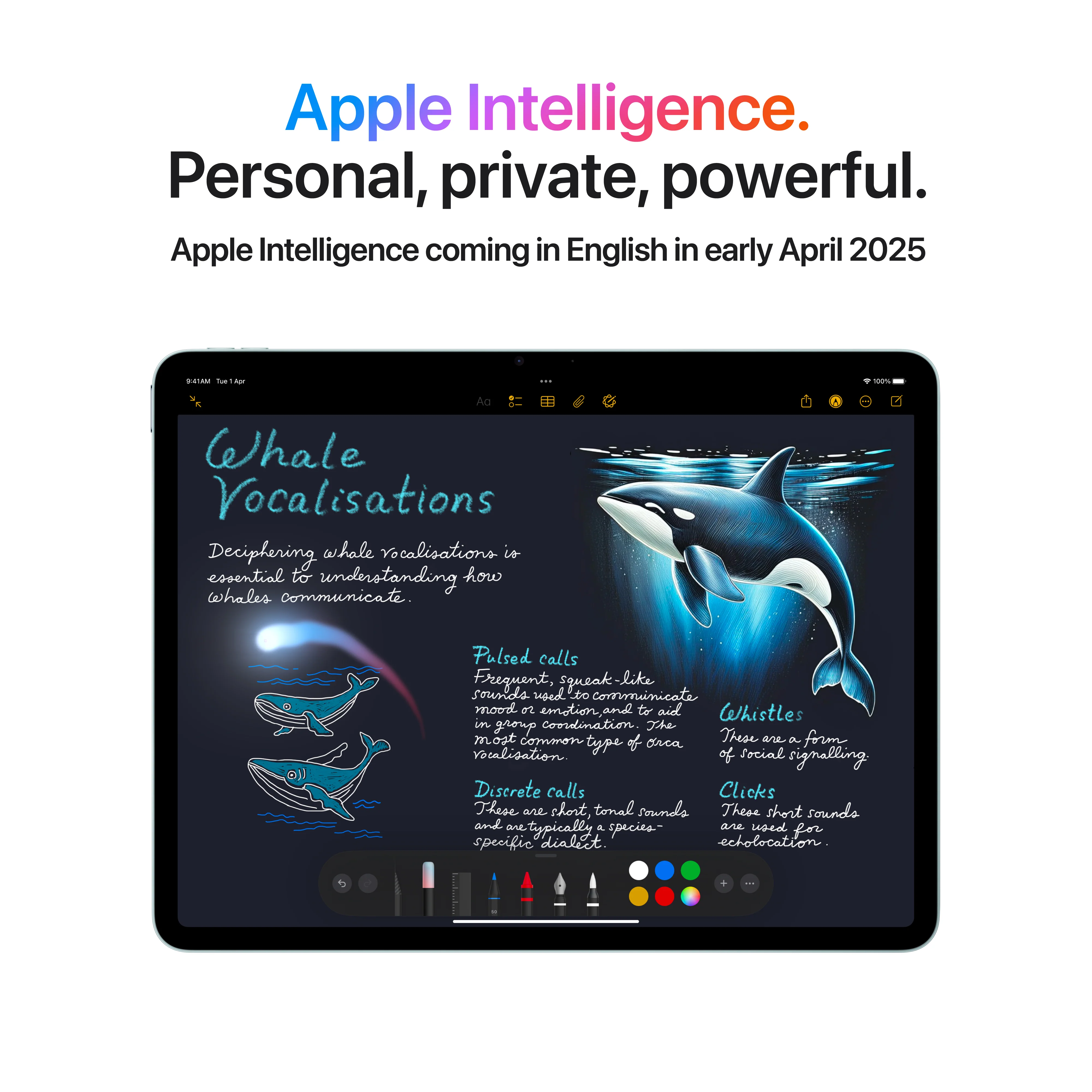 11-inch iPad Air Wi-Fi 128GB - Blue (M3) - Image 5
