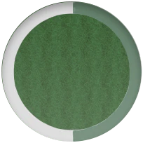 49mm Green Trail Loop ‚Äì S/M - Natural Titanium Finish - Image 4
