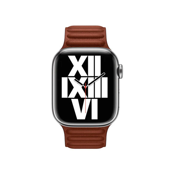 Apple 41mm Leather Link - M/L - Image 3