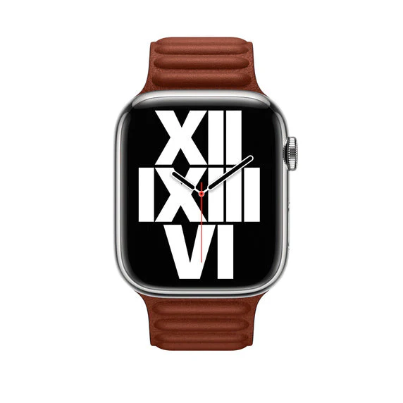 Apple 41mm Leather Link - M/L - Image 9
